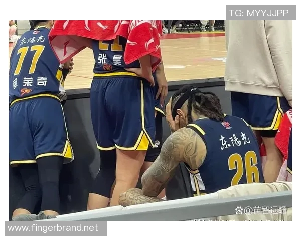 同曦新王崛起季后赛前八有望